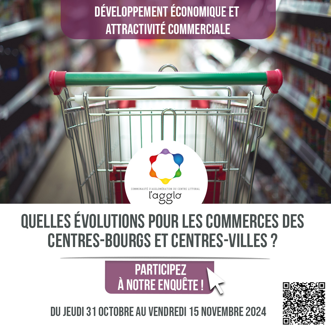 Enquête DDAE - commerce